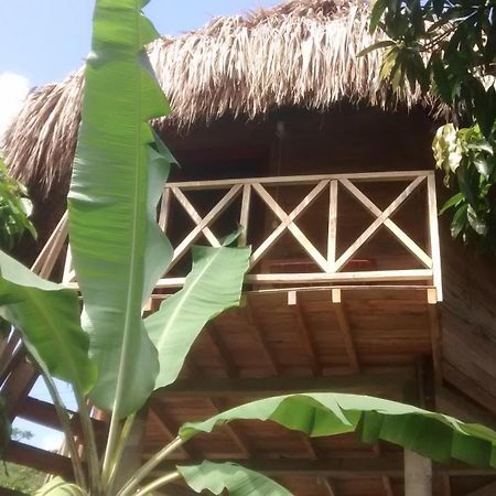 Posadas Ecoturisticas Seineken El Zaino Exterior foto